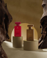 Paul Reactss - The Girls