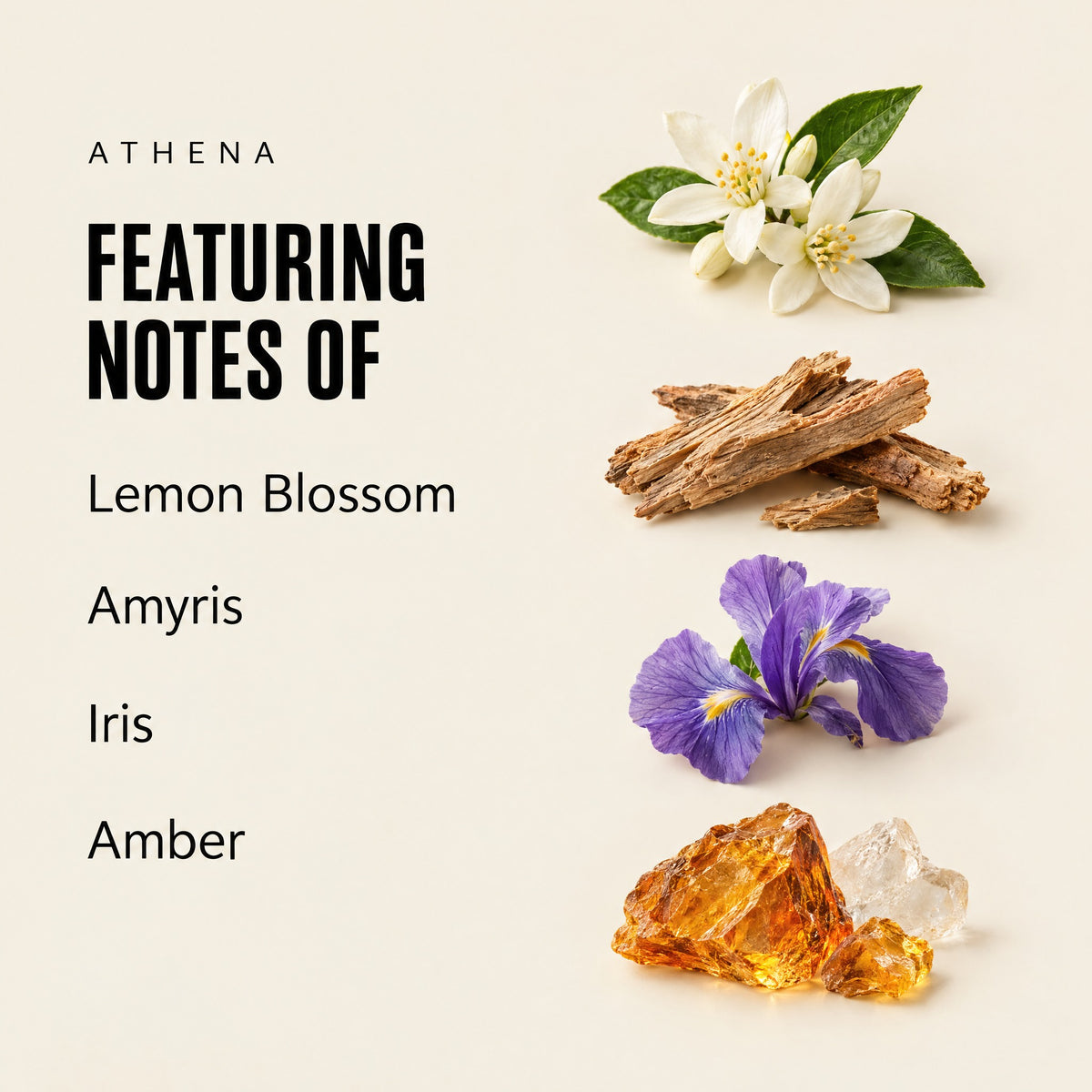 Athena featuring notes