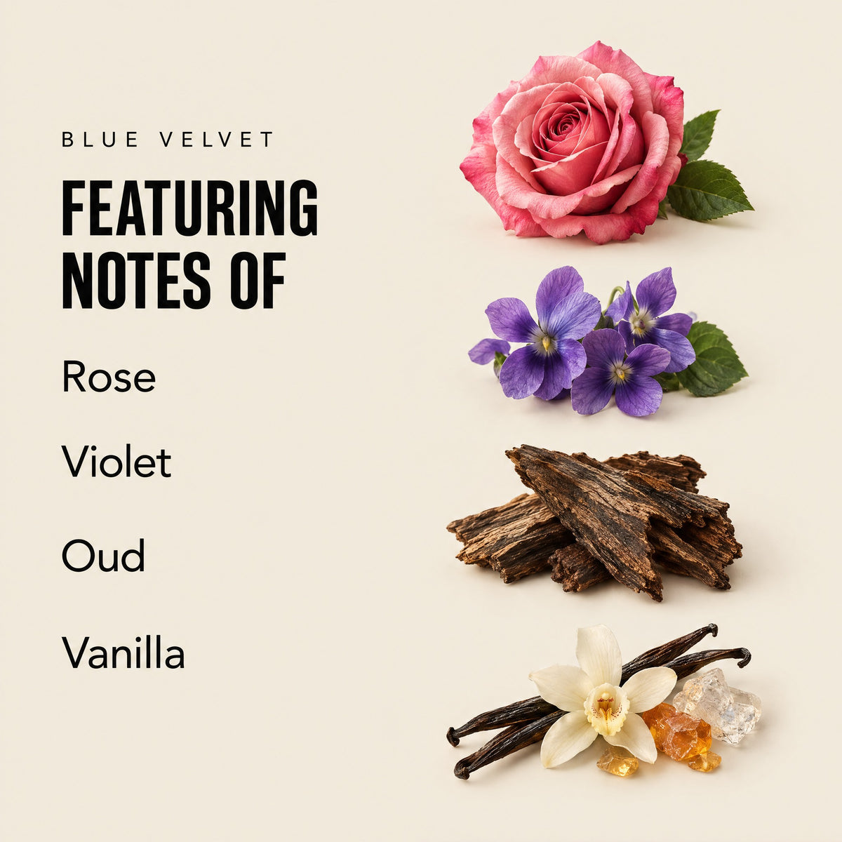 Blue Velvet featuring notes