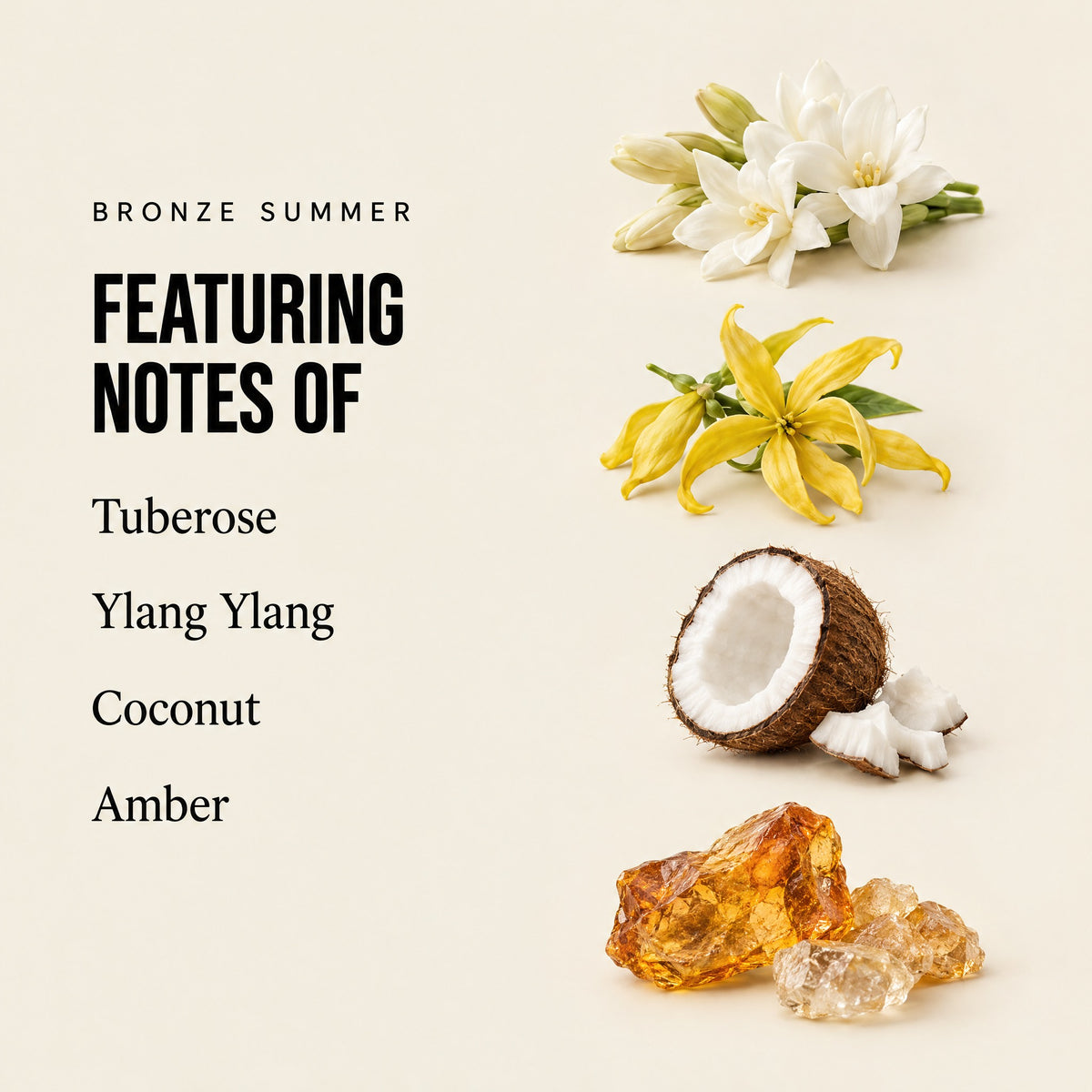 Bronze Summer featuring notes