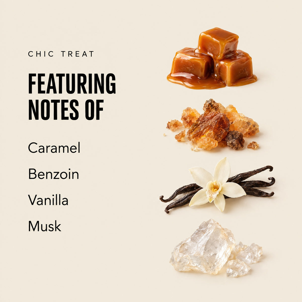 Chic Treat featuring notes