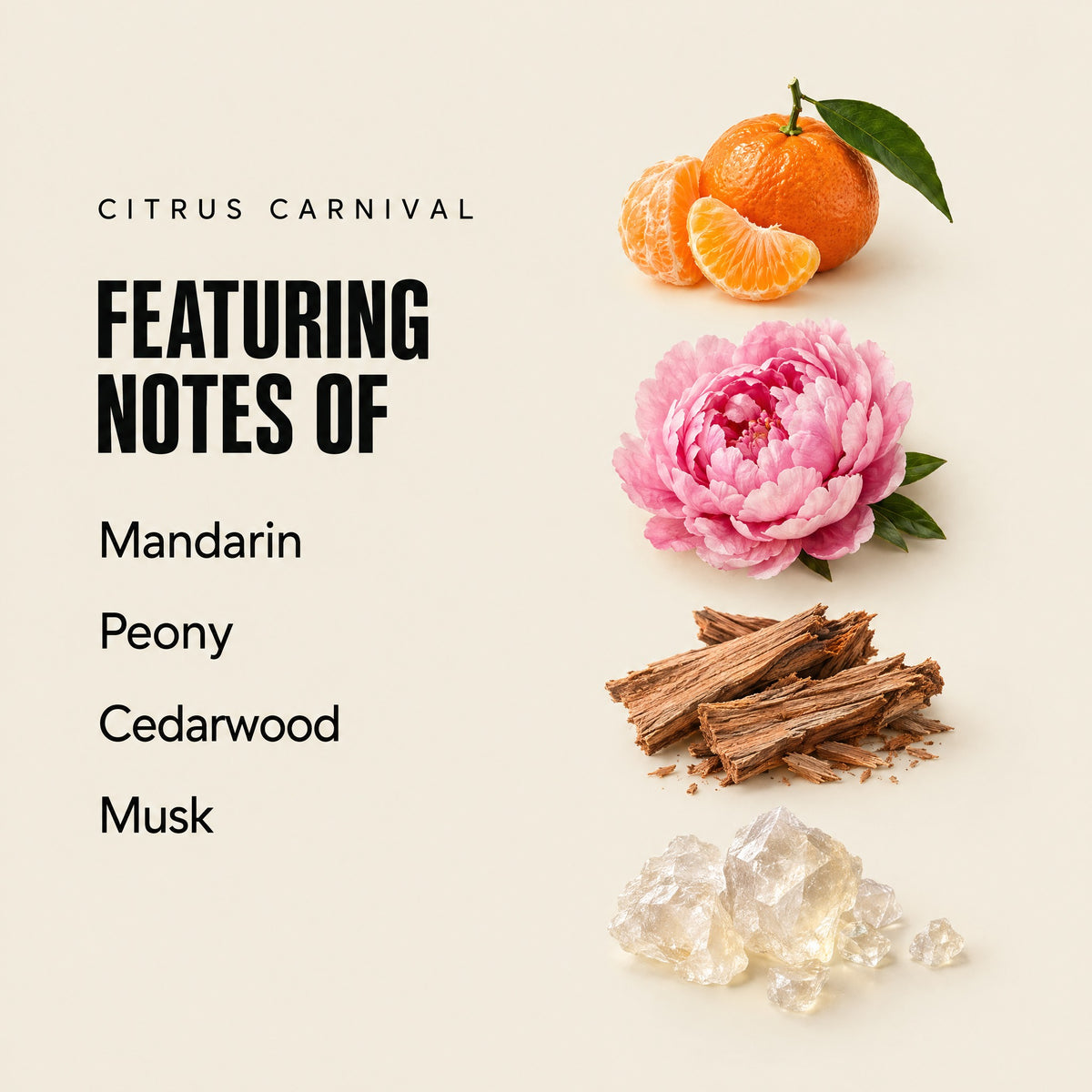 Citrus Carnival featuring notes