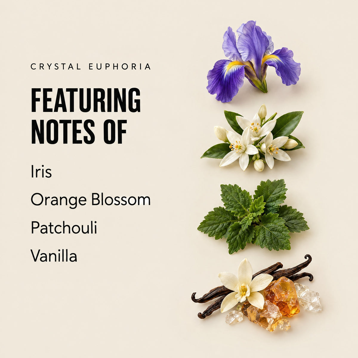 Crystal Euphoria featuring notes