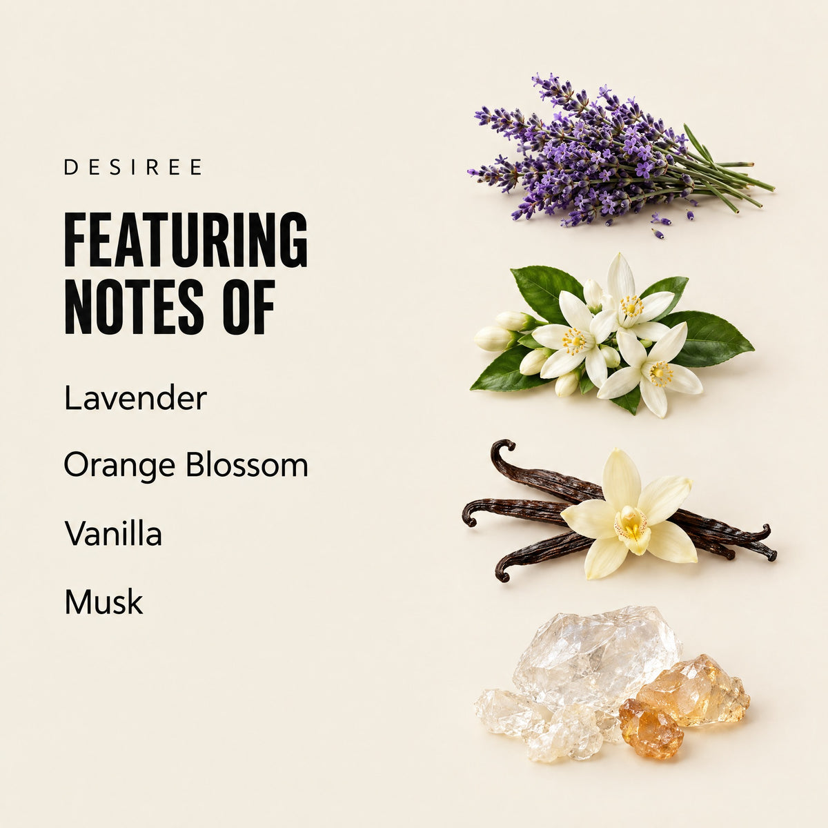 Desiree featuring notes
