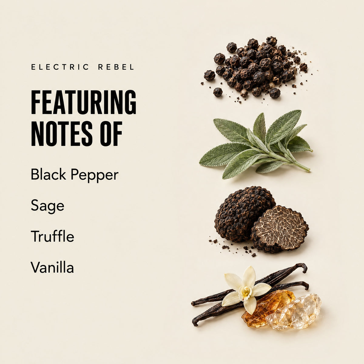 Electric Rebel featuring notes