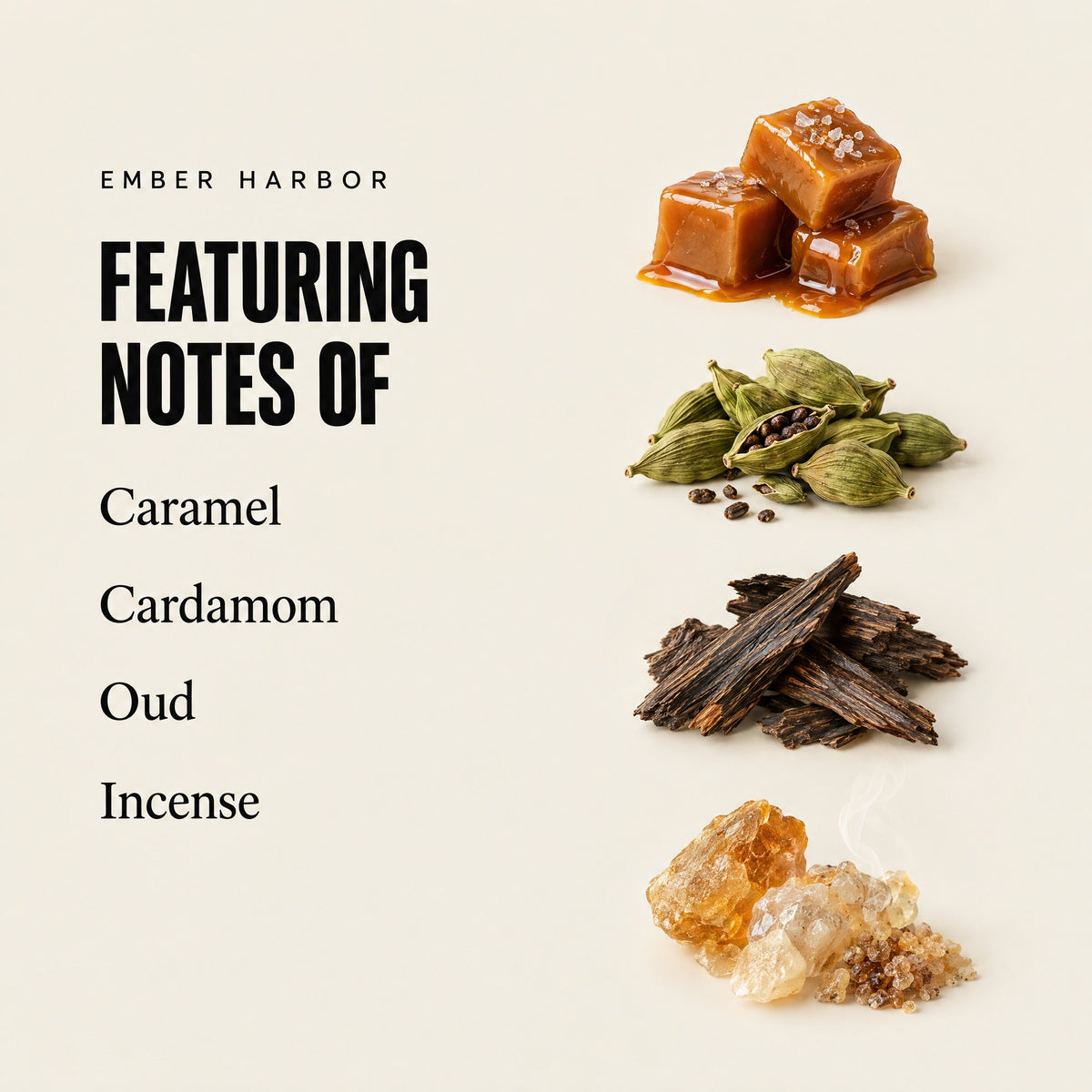 Ember Harbor featuring notes