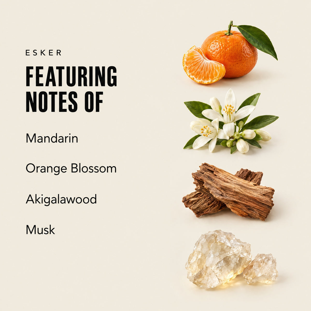 Esker featuring notes