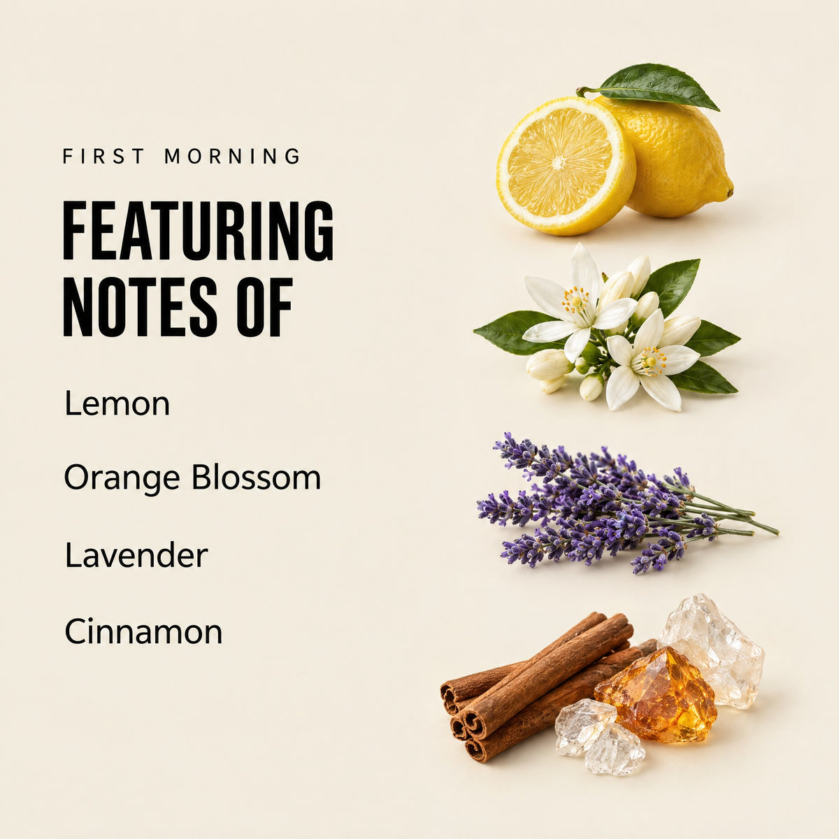 First Morning featuring notes