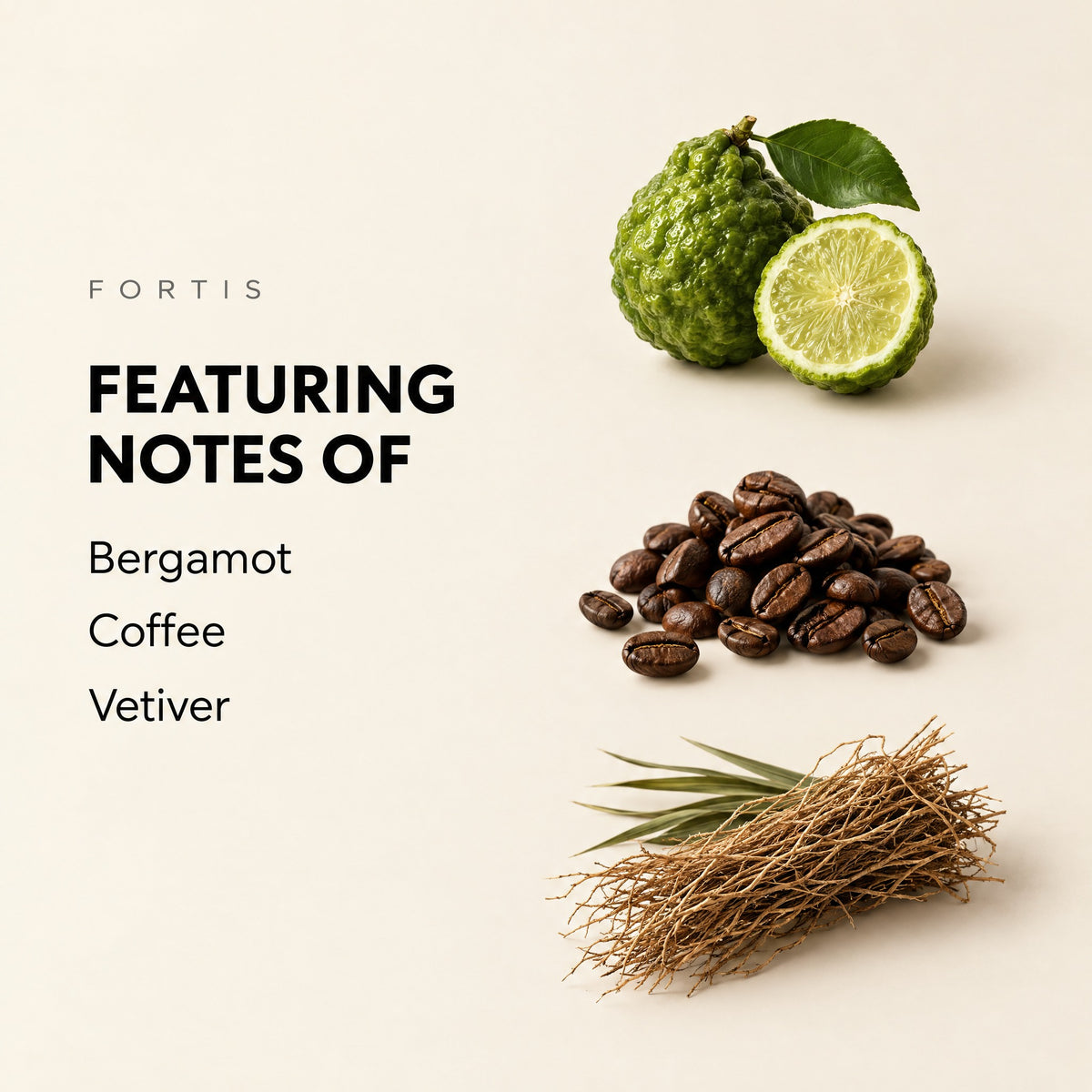 Fortis featuring notes