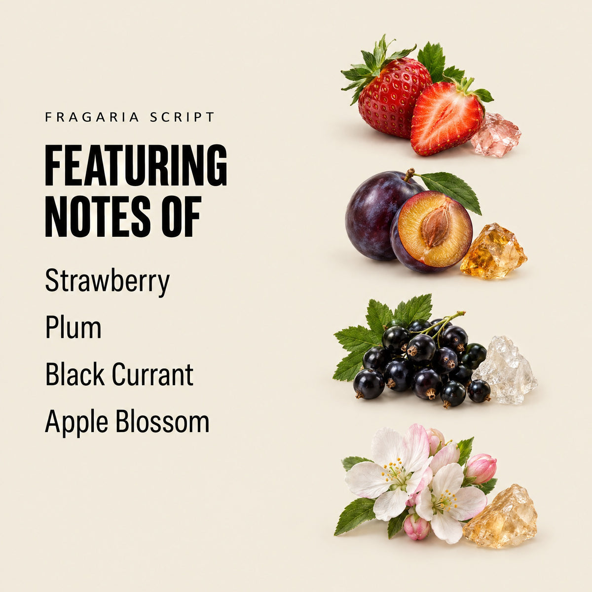Fragaria Script featuring notes