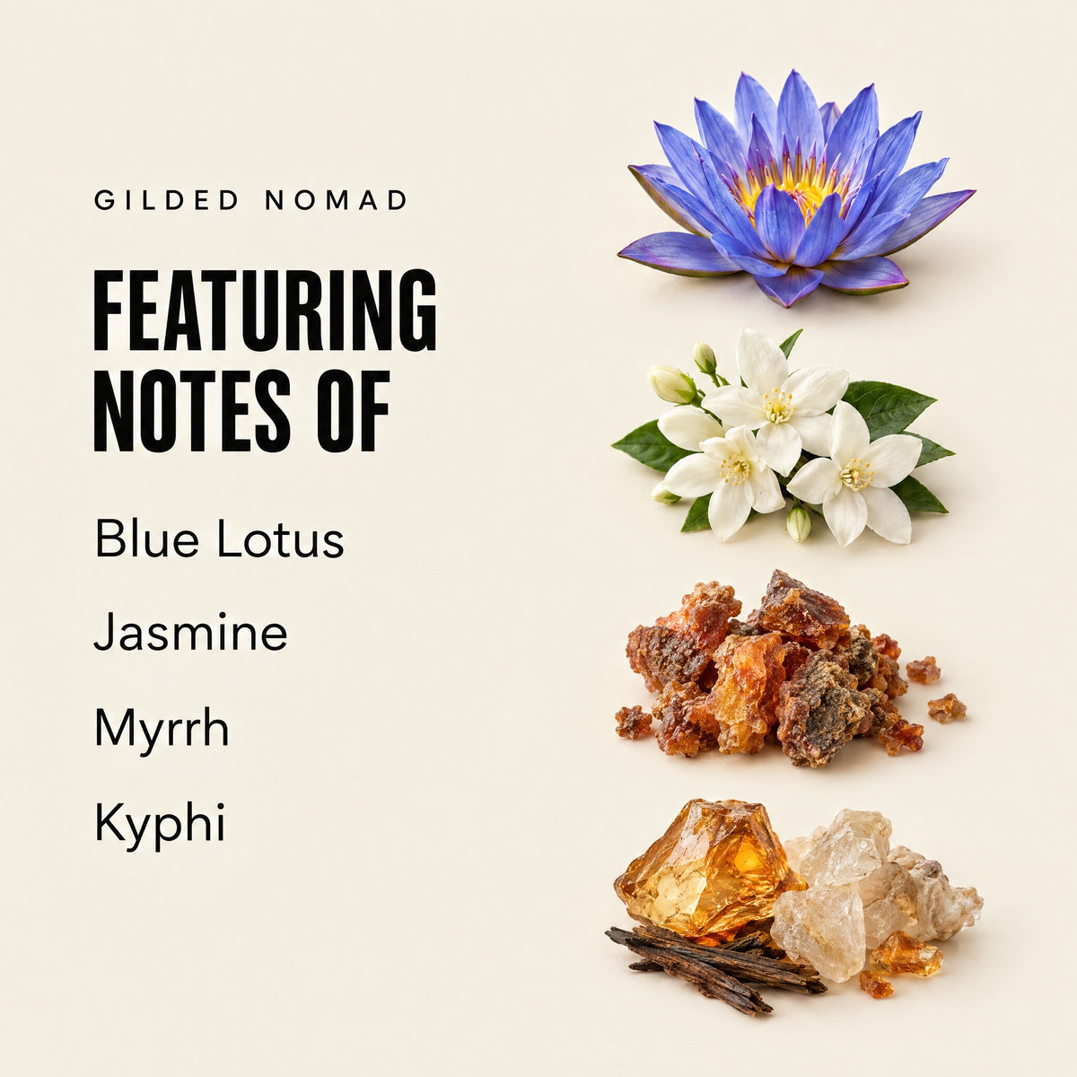 Gilded Nomad featuring notes