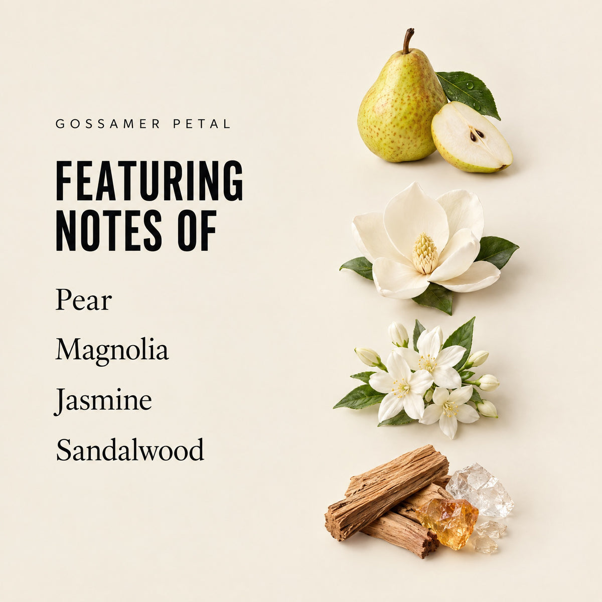 Gossamer Petal featuring notes