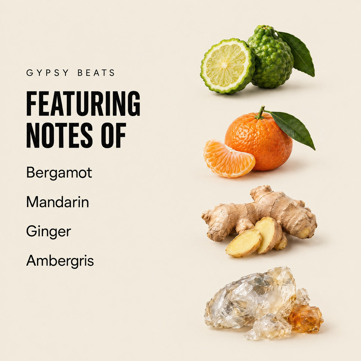 Gypsy Beats featuring notes