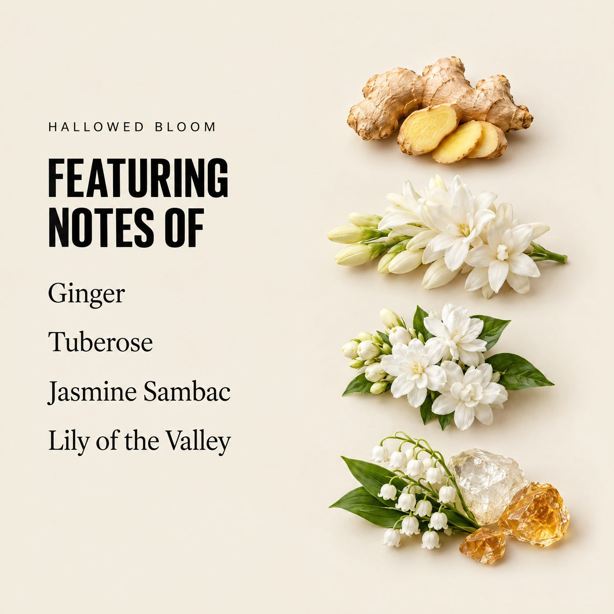 Hallowed Bloom featuring notes