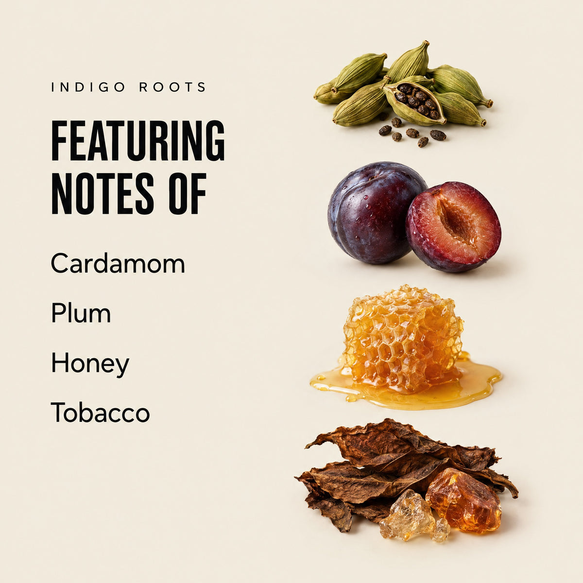 Indigo Roots featuring notes