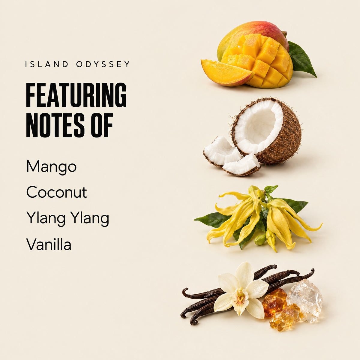 Island Odyssey featuring notes