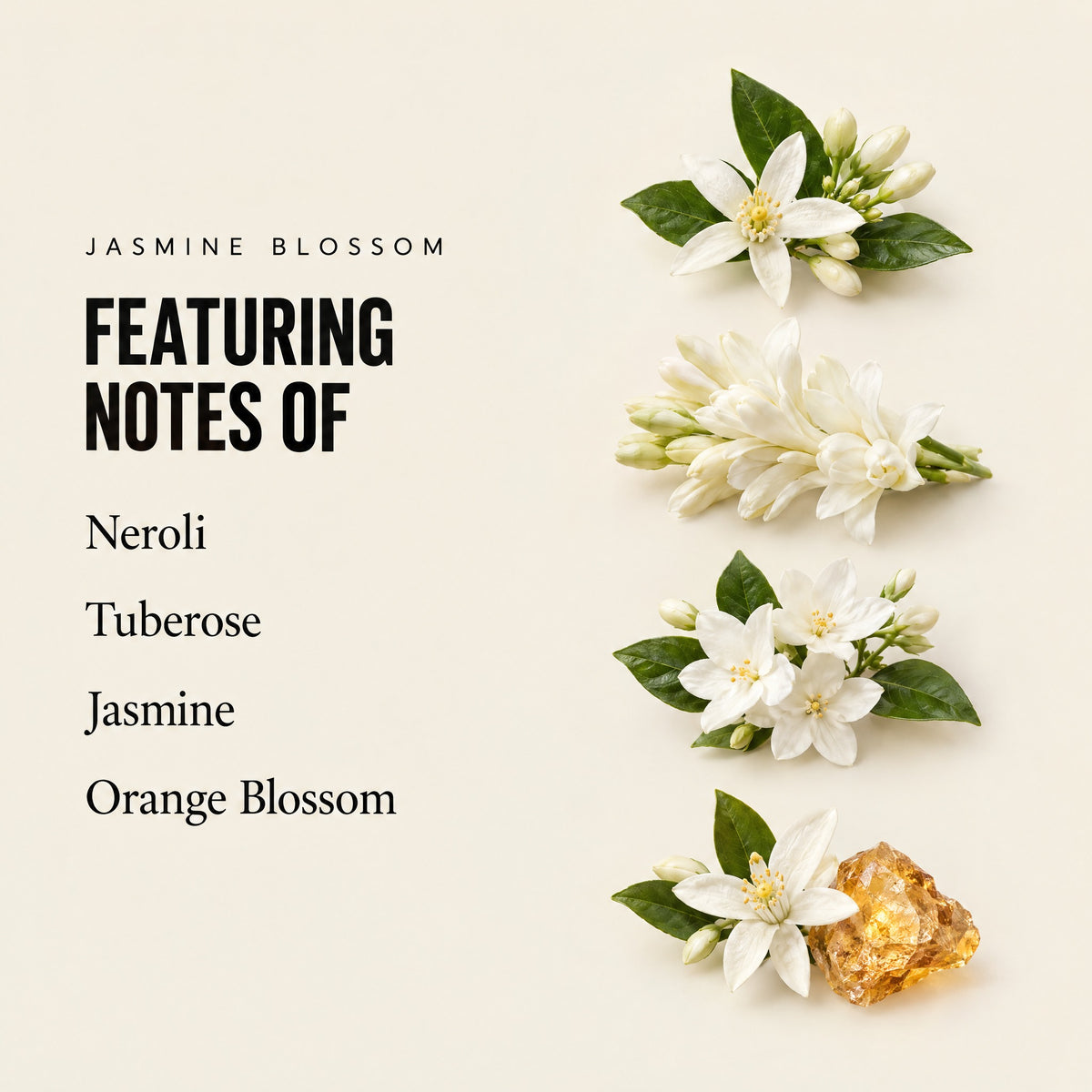 Jasmine Blossom featuring notes