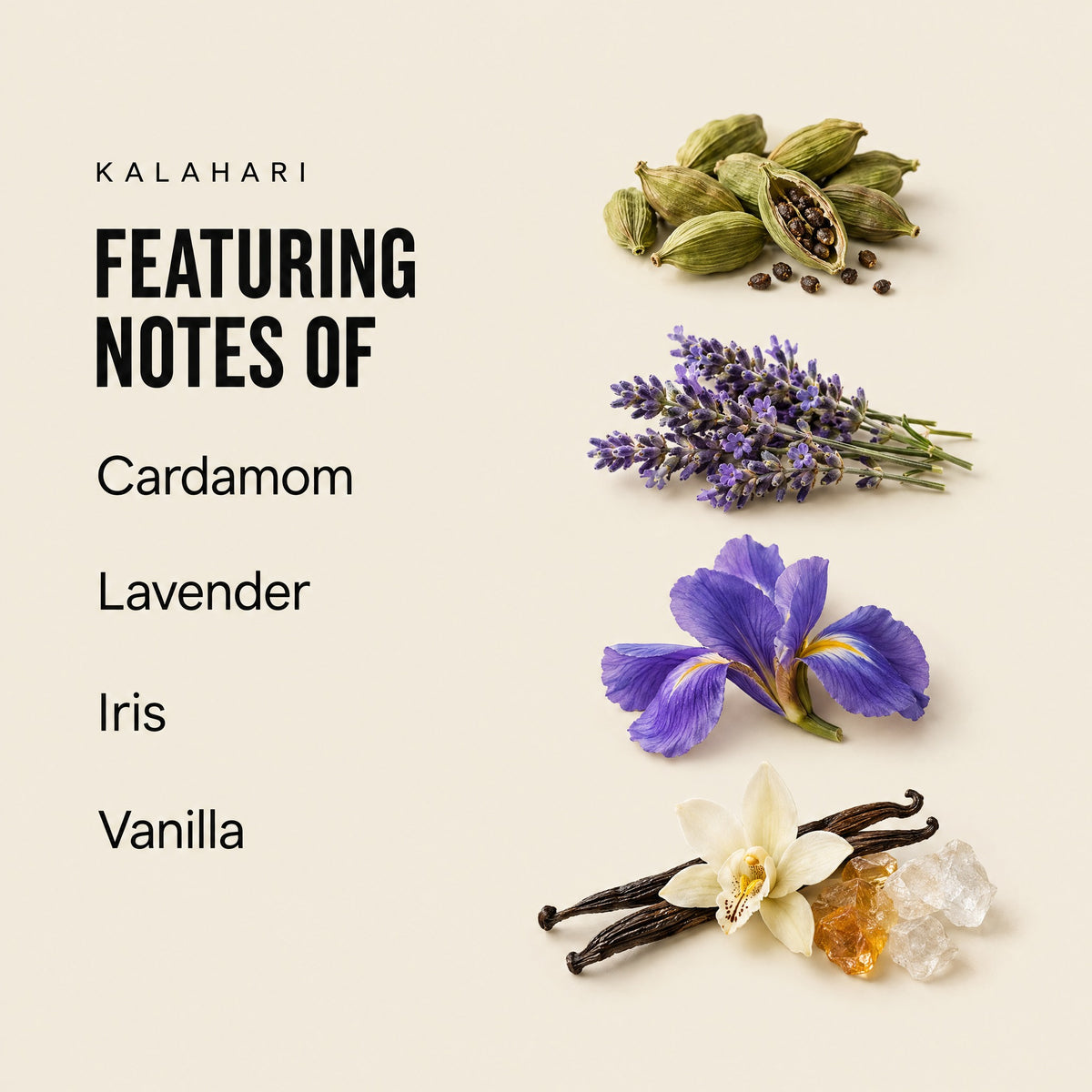 Kalahari featuring notes