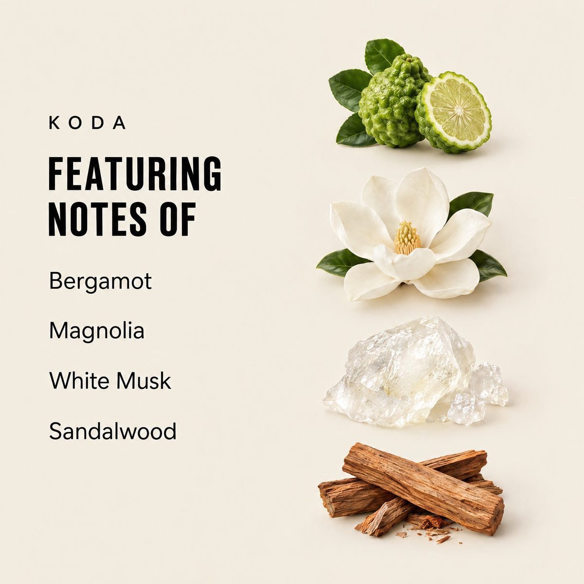 Koda featuring notes