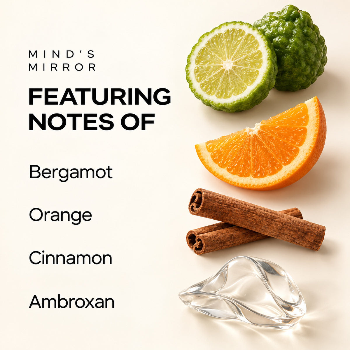 Product notes infographic showing Mind’s Mirror fragrance notes of bergamot, orange, cinnamon, and ambroxan