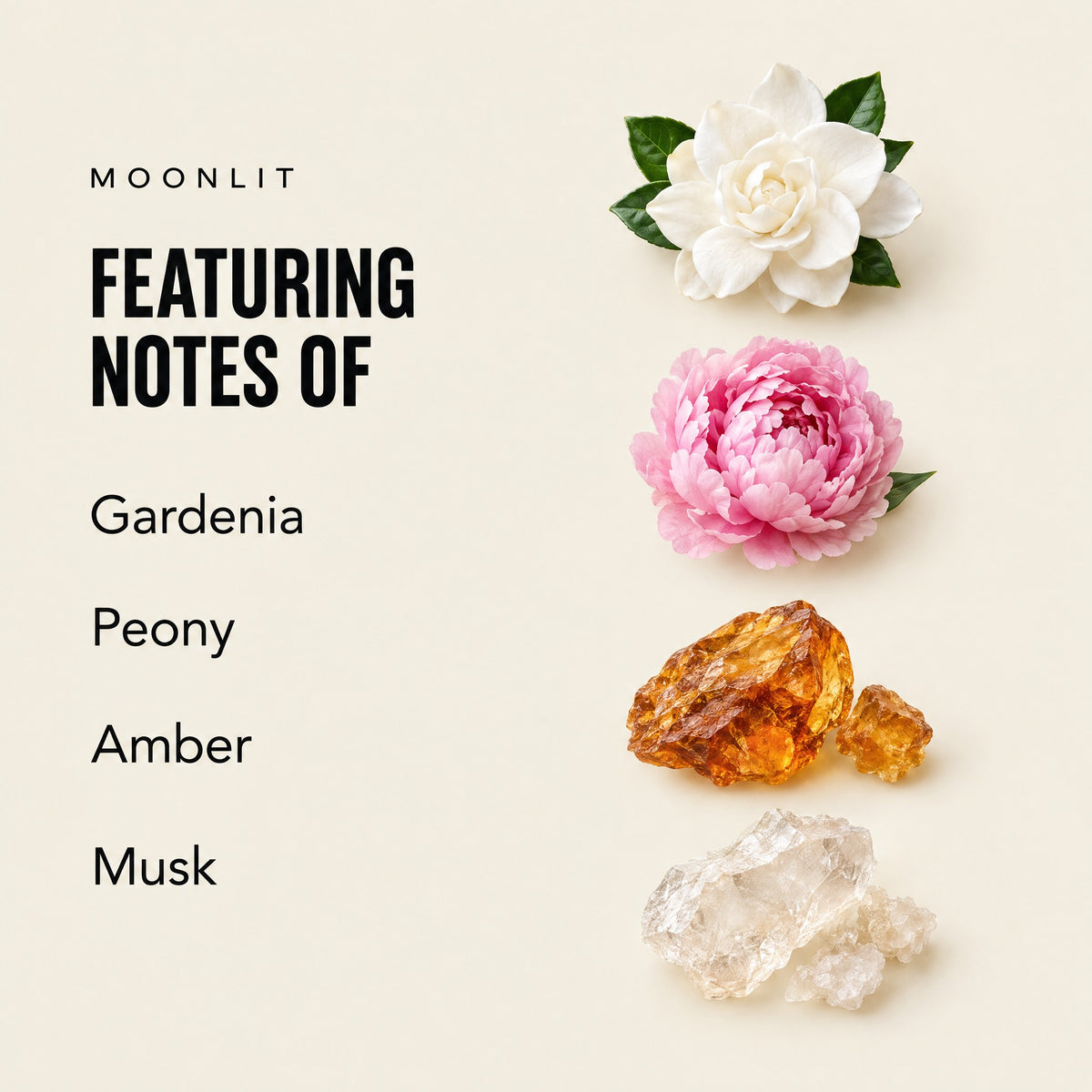 Moonlit featuring notes