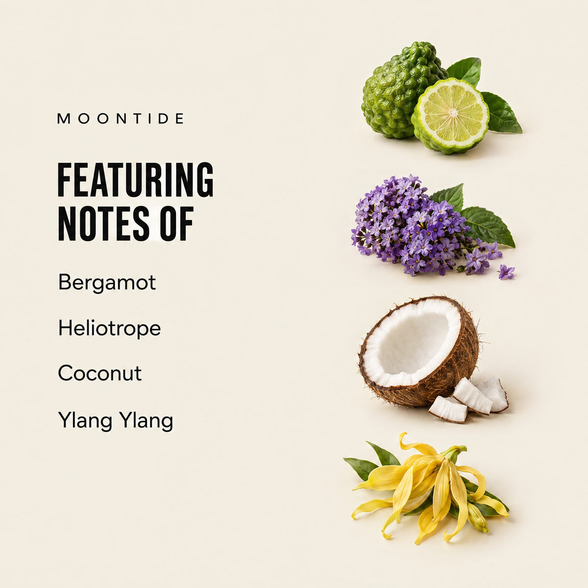 Moontide featuring notes