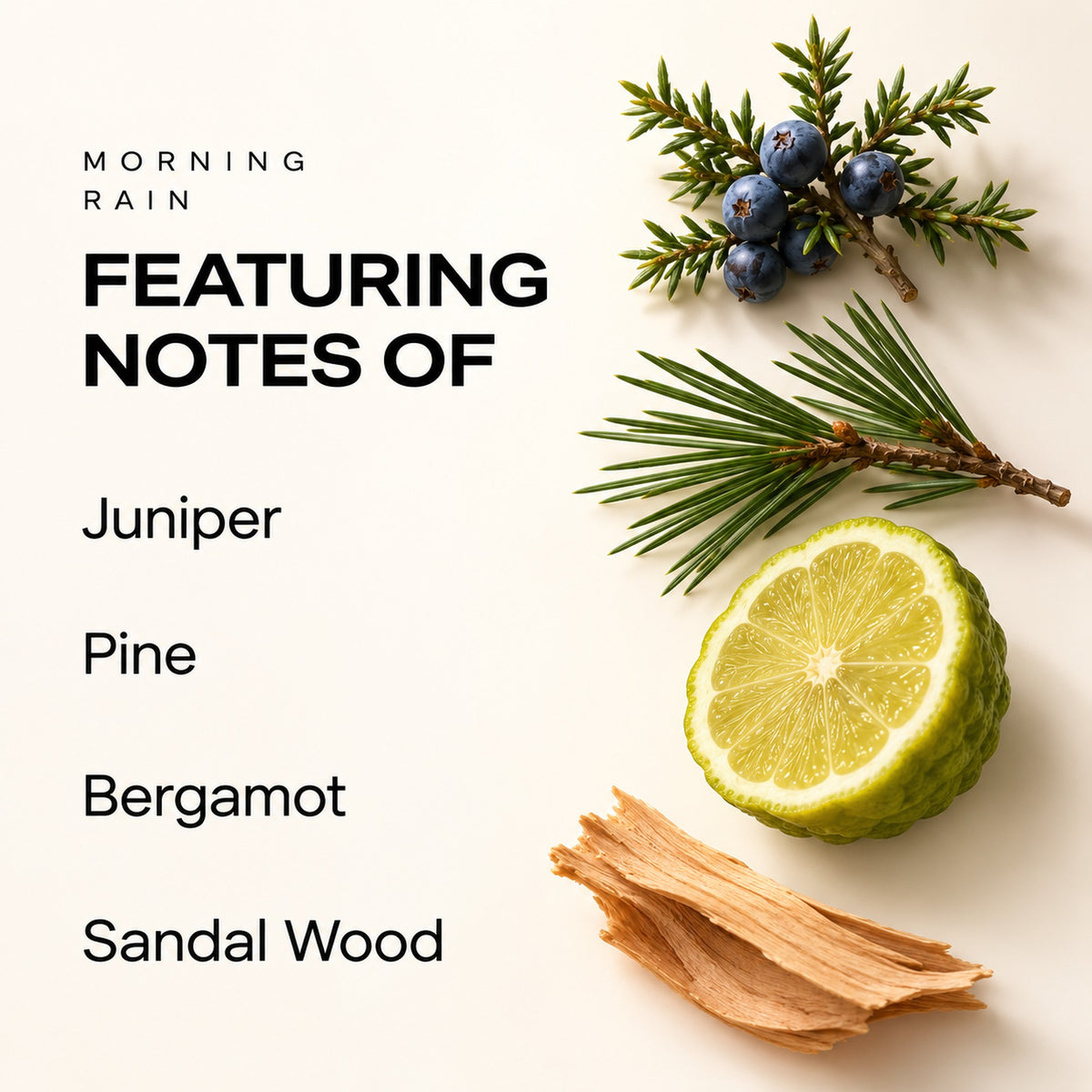 Morning Rain featuring notes