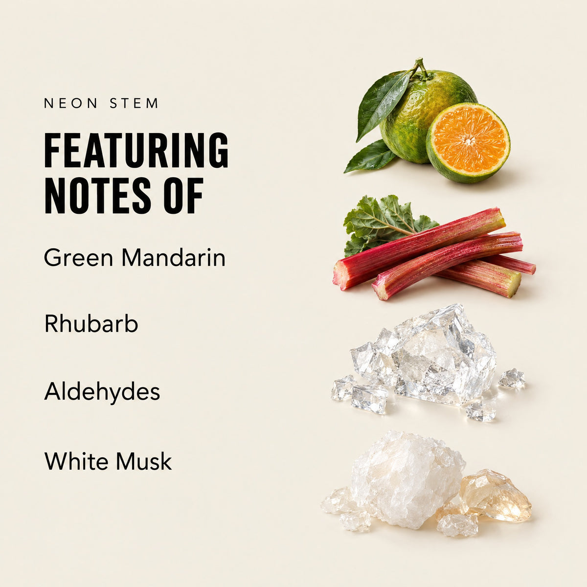 Neon Stem featuring notes