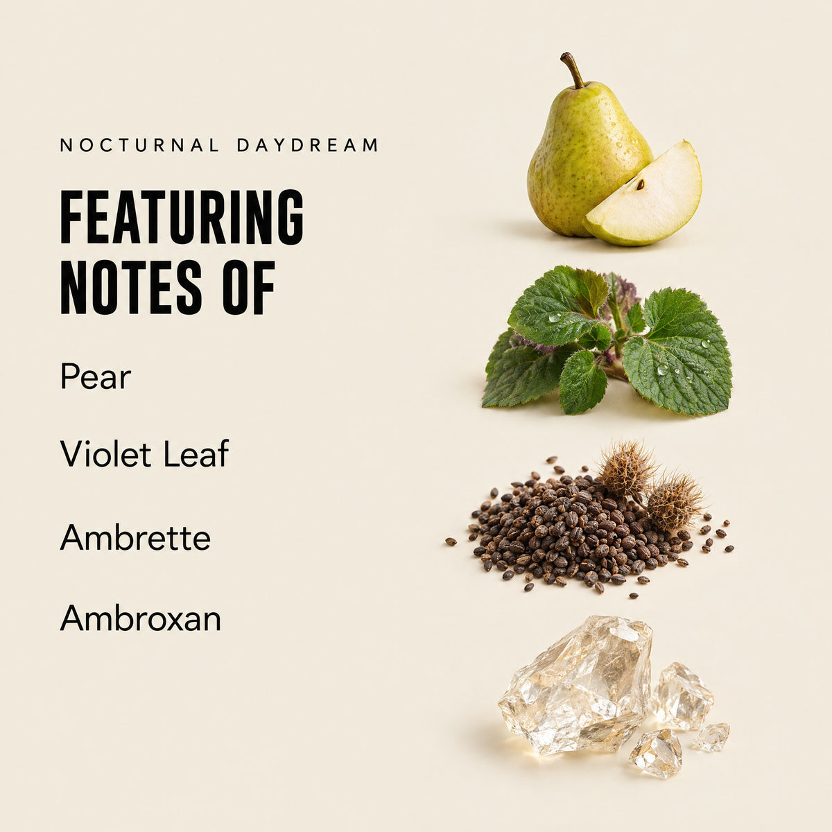 Fragrance notes graphic showing Nocturnal Daydream with pear, violet leaf, ambrette, and ambroxan