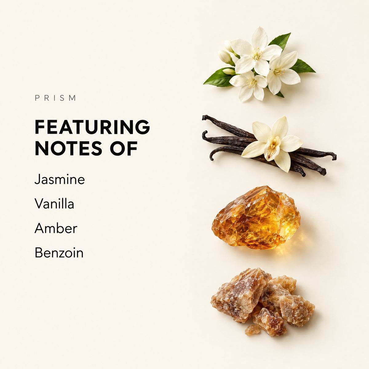 Fragrance note graphic showing Prism featuring jasmine, vanilla, amber, and benzoin
