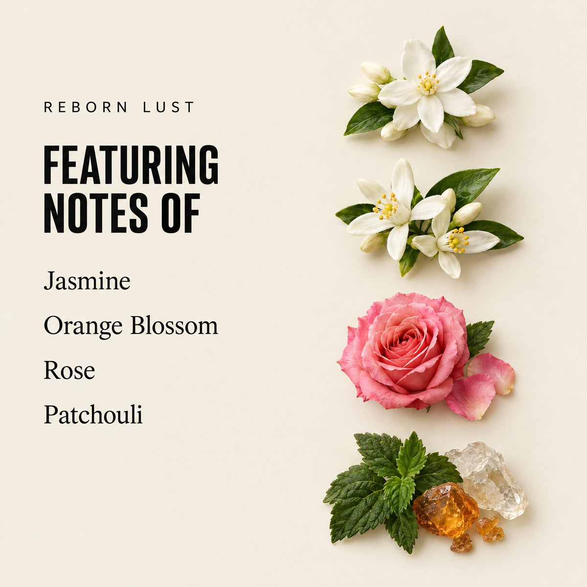 Reborn Lust featuring notes