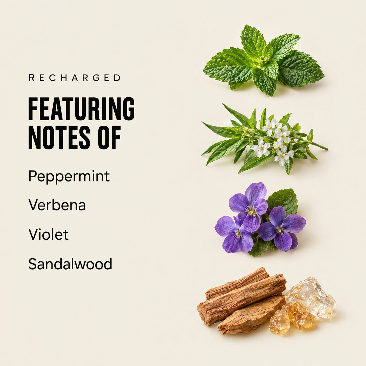 Recharged featuring notes