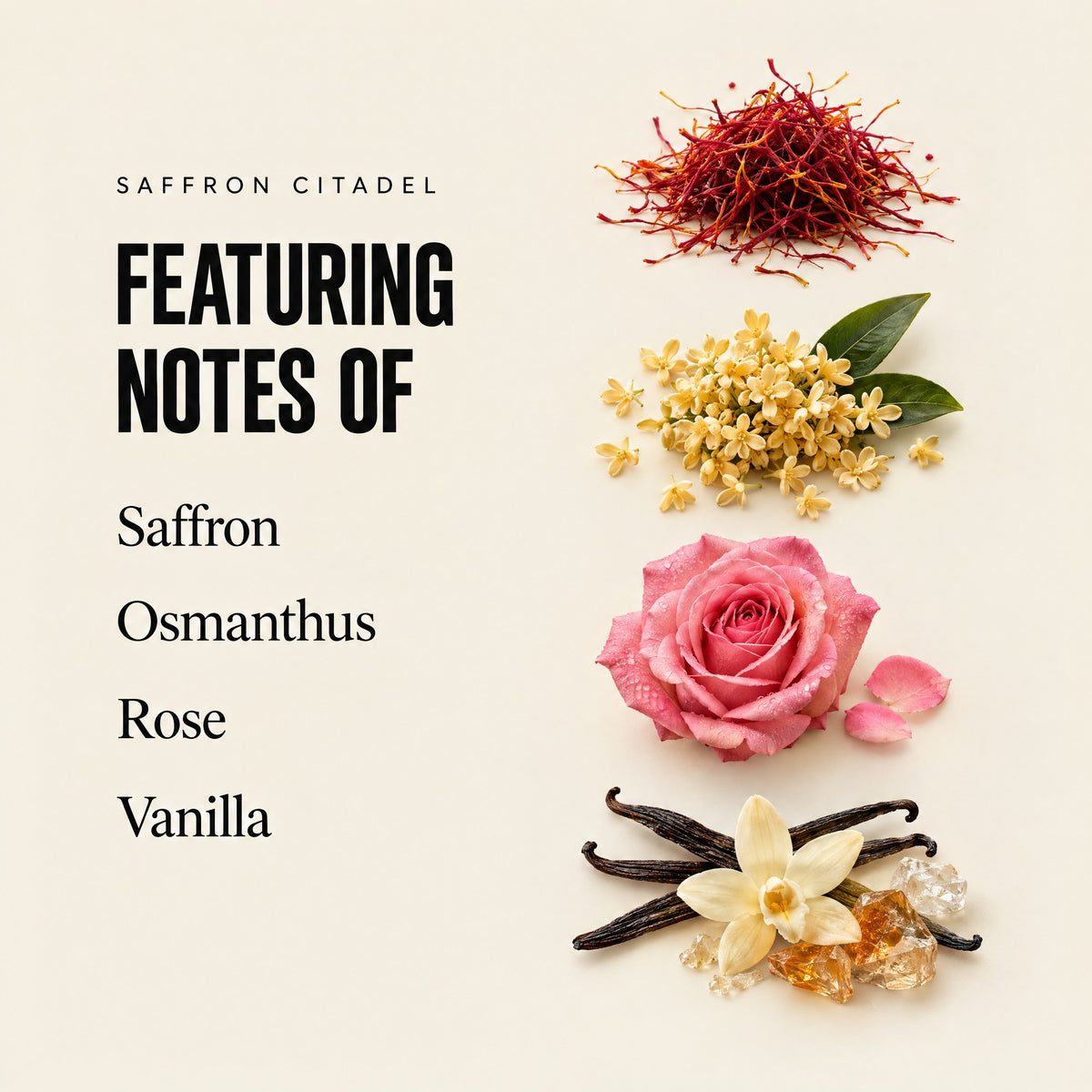 Saffron Citadel featuring notes