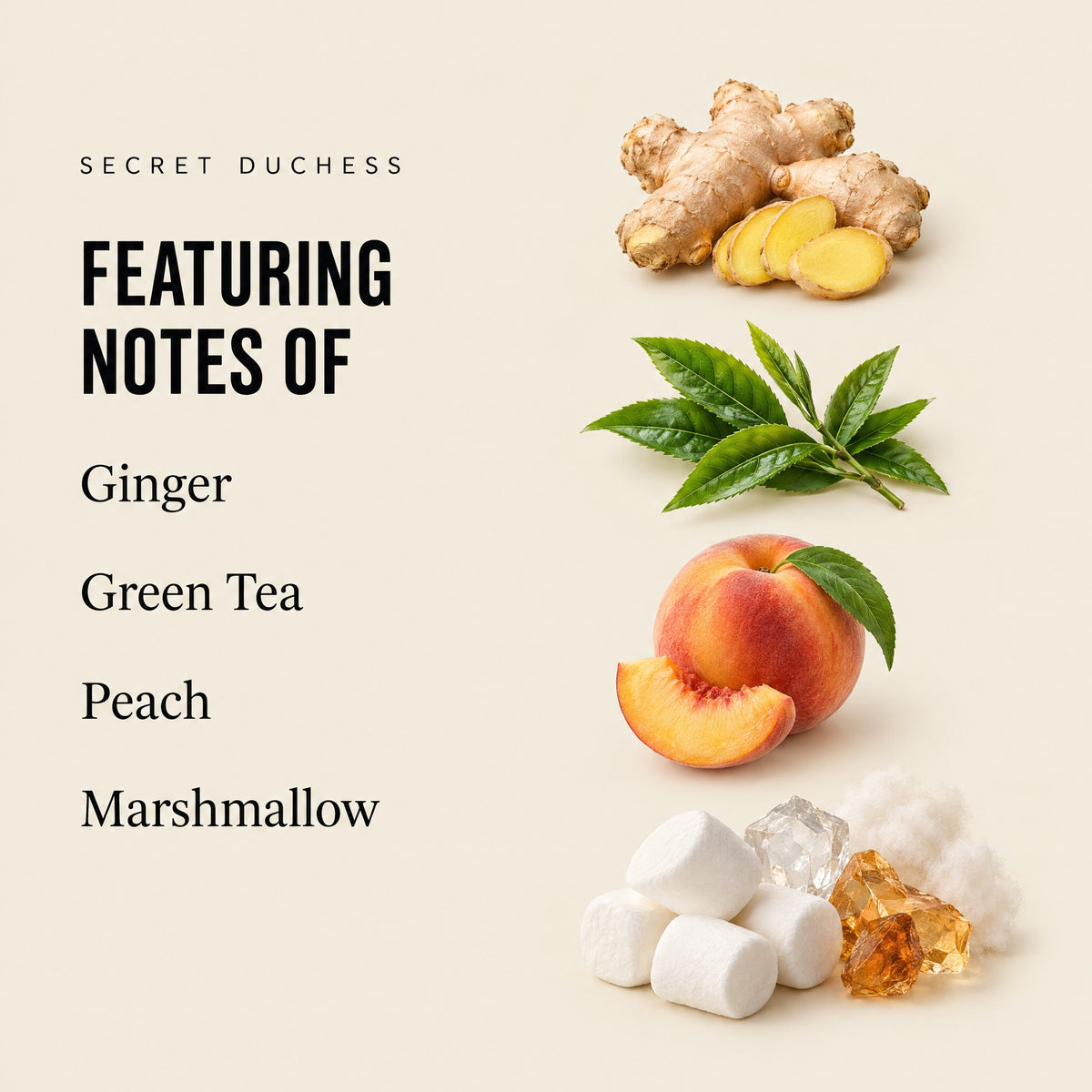 Secret Duchess featuring notes