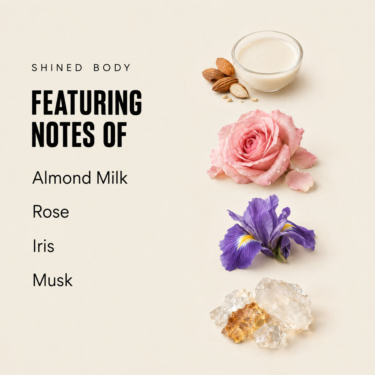 Shined Body featuring notes