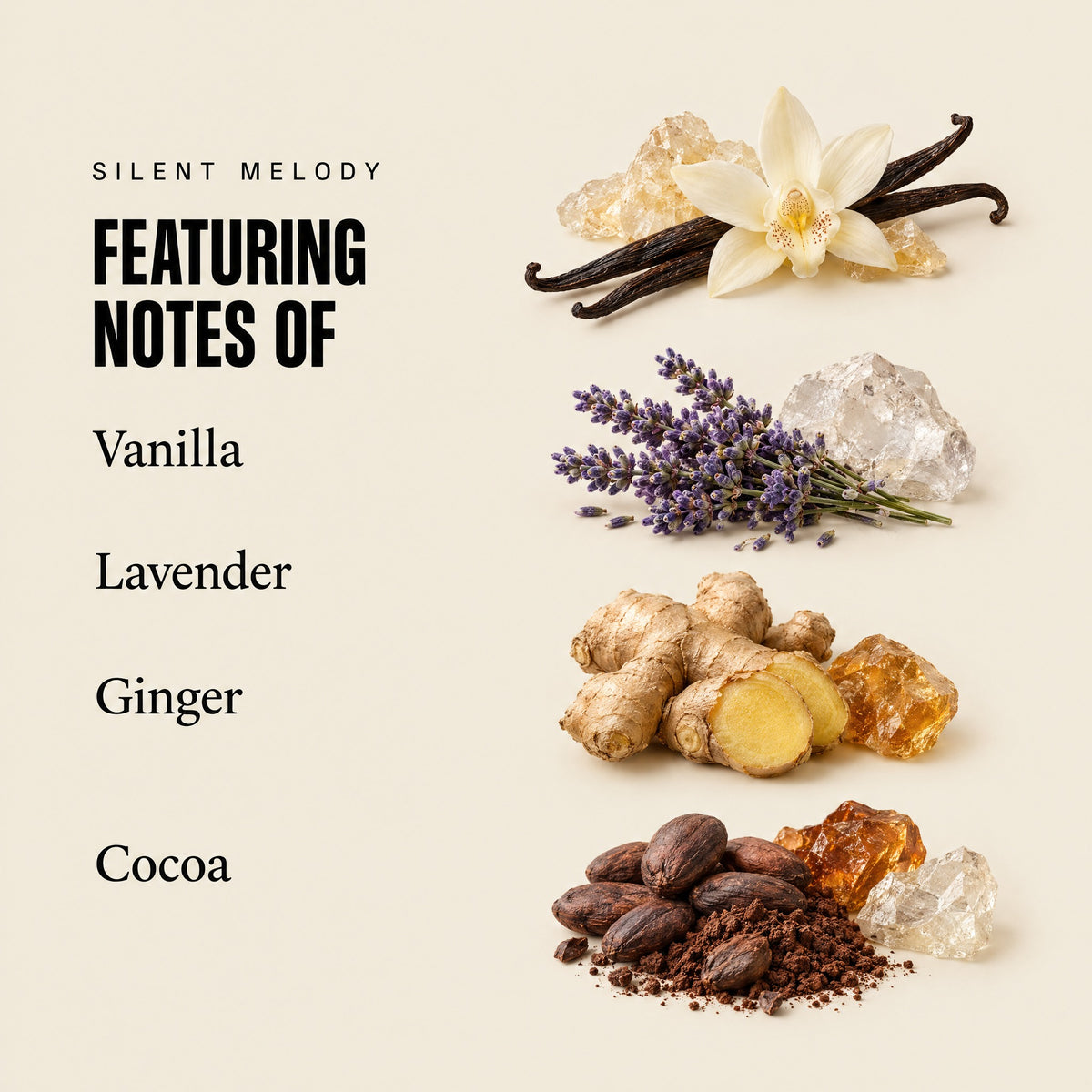 Silent Melody featuring notes