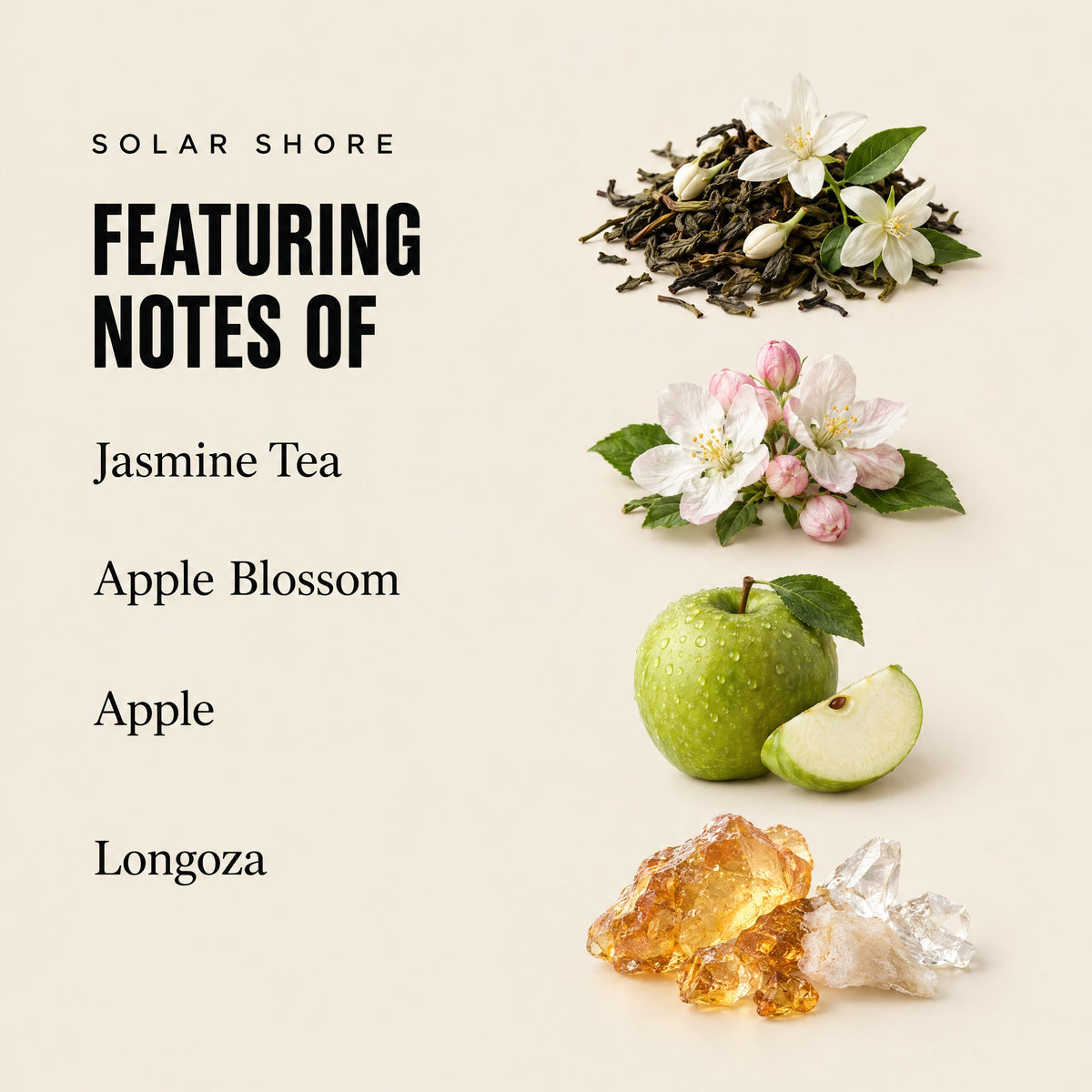 Solar Shore featuring notes