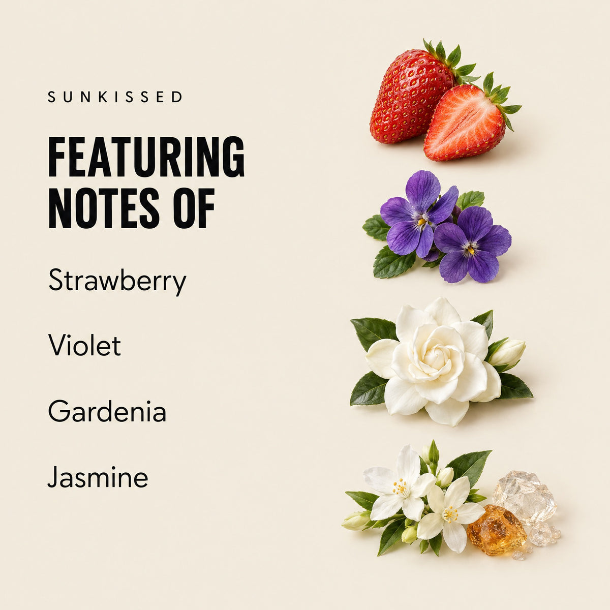 Sunkissed featuring notes