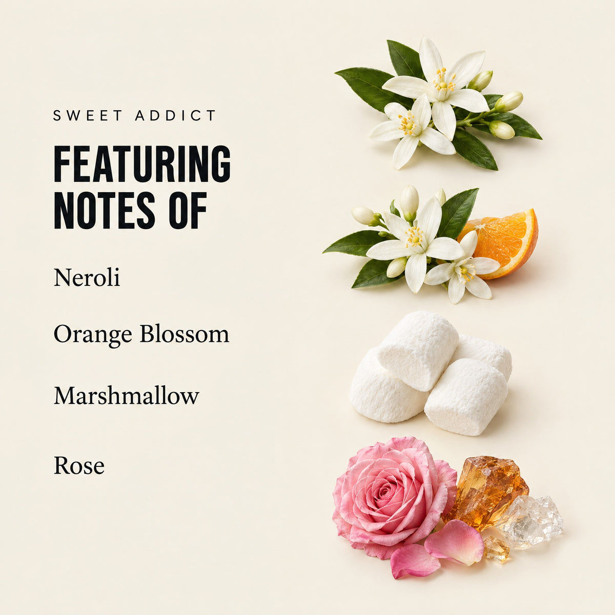 Sweet Addict featuring notes