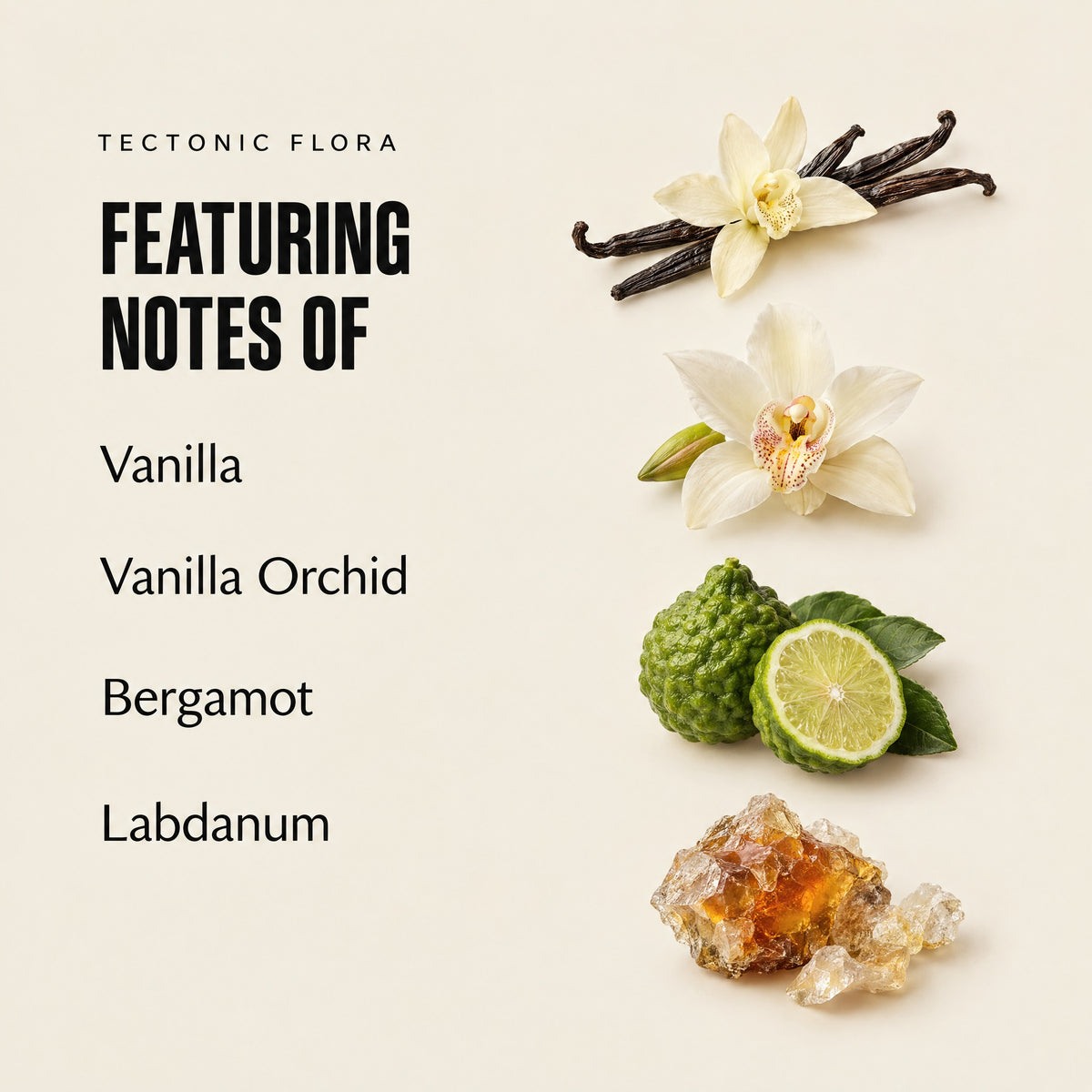 Tectonic Flora featuring notes