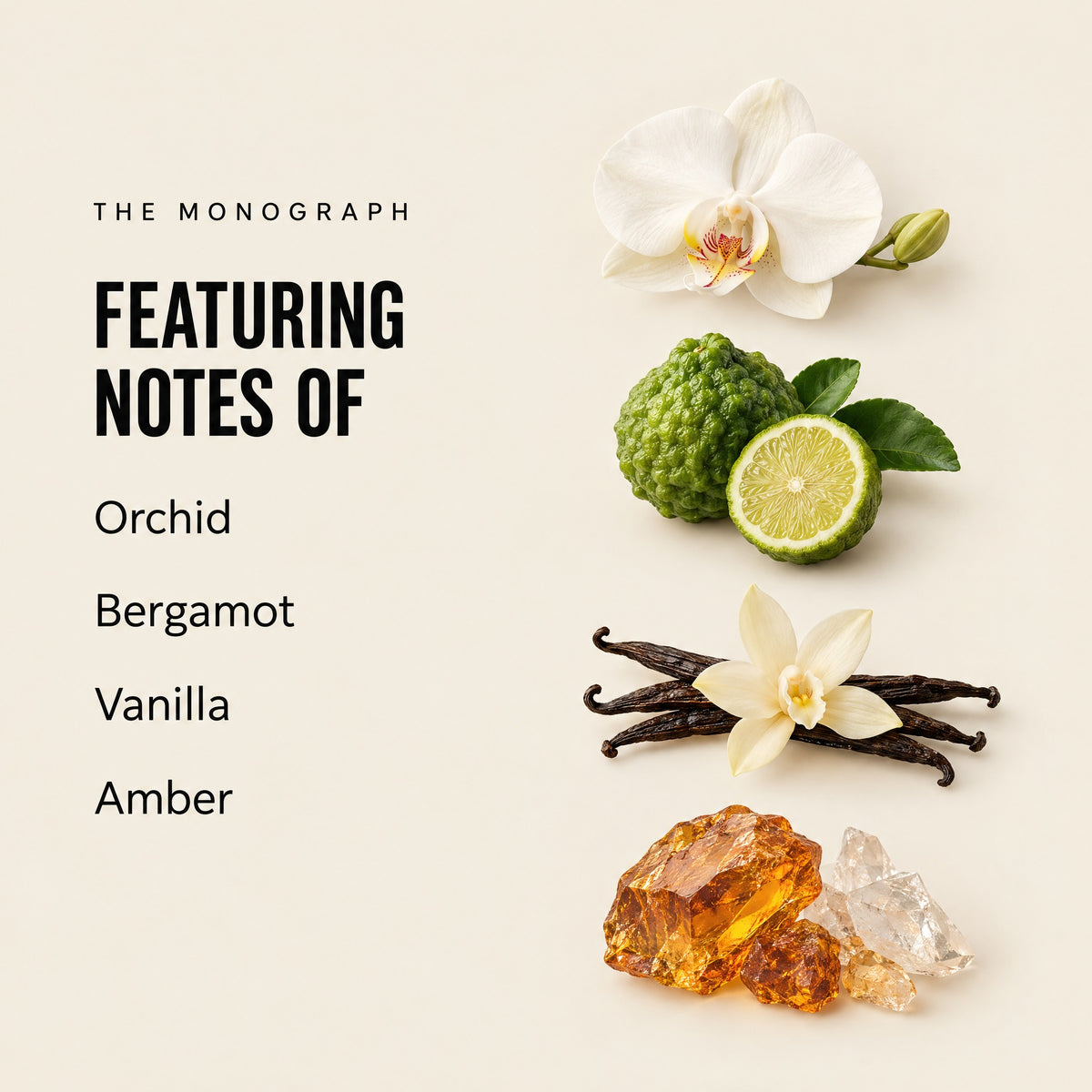 The Monograph featuring notes
