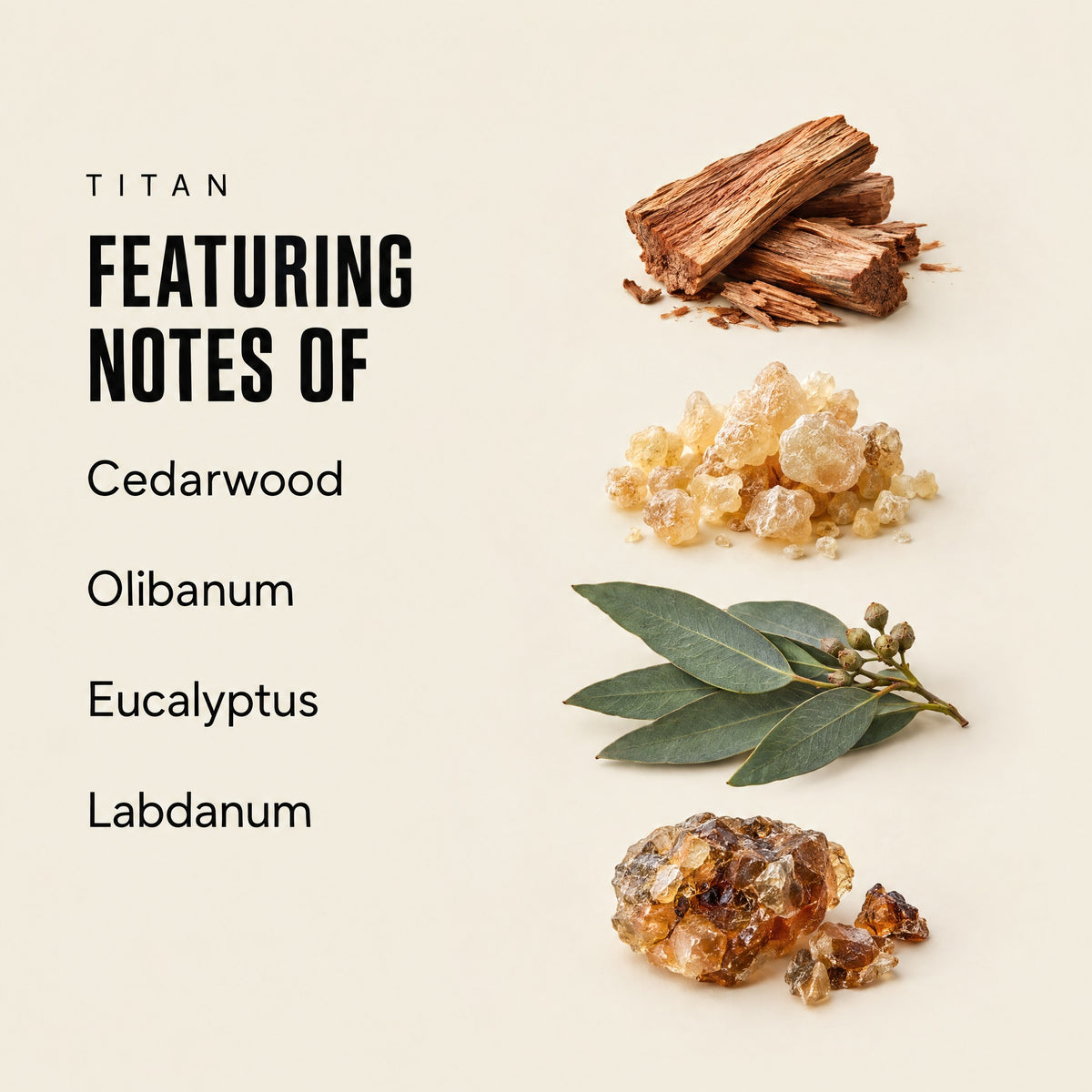 Titan featuring notes