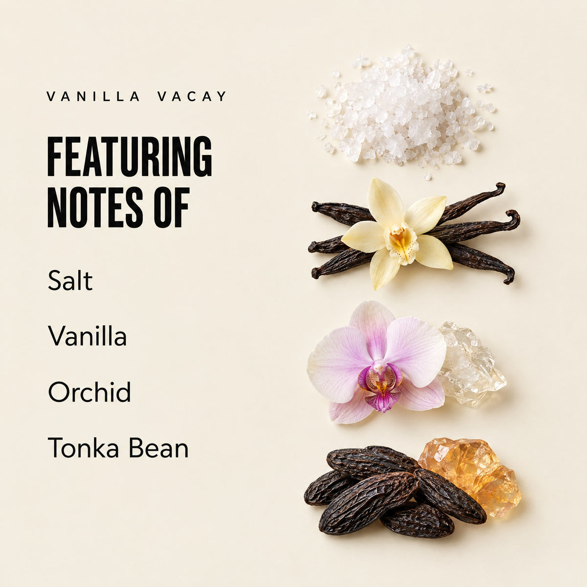Vanilla Vacay featuring notes