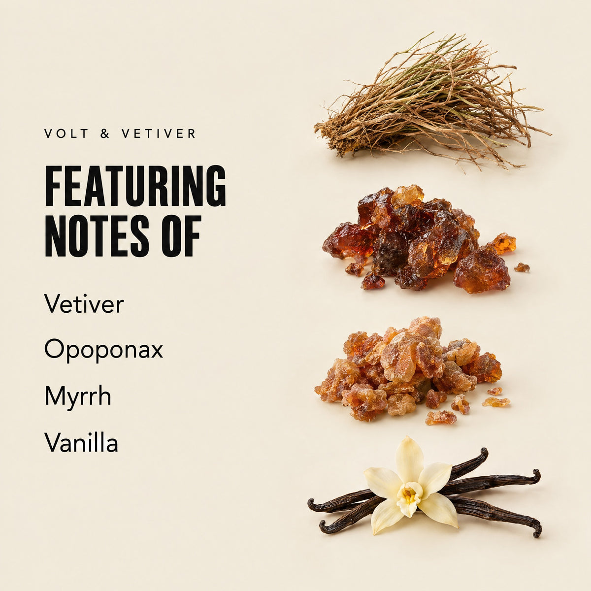 Volt & Vetiver featuring notes