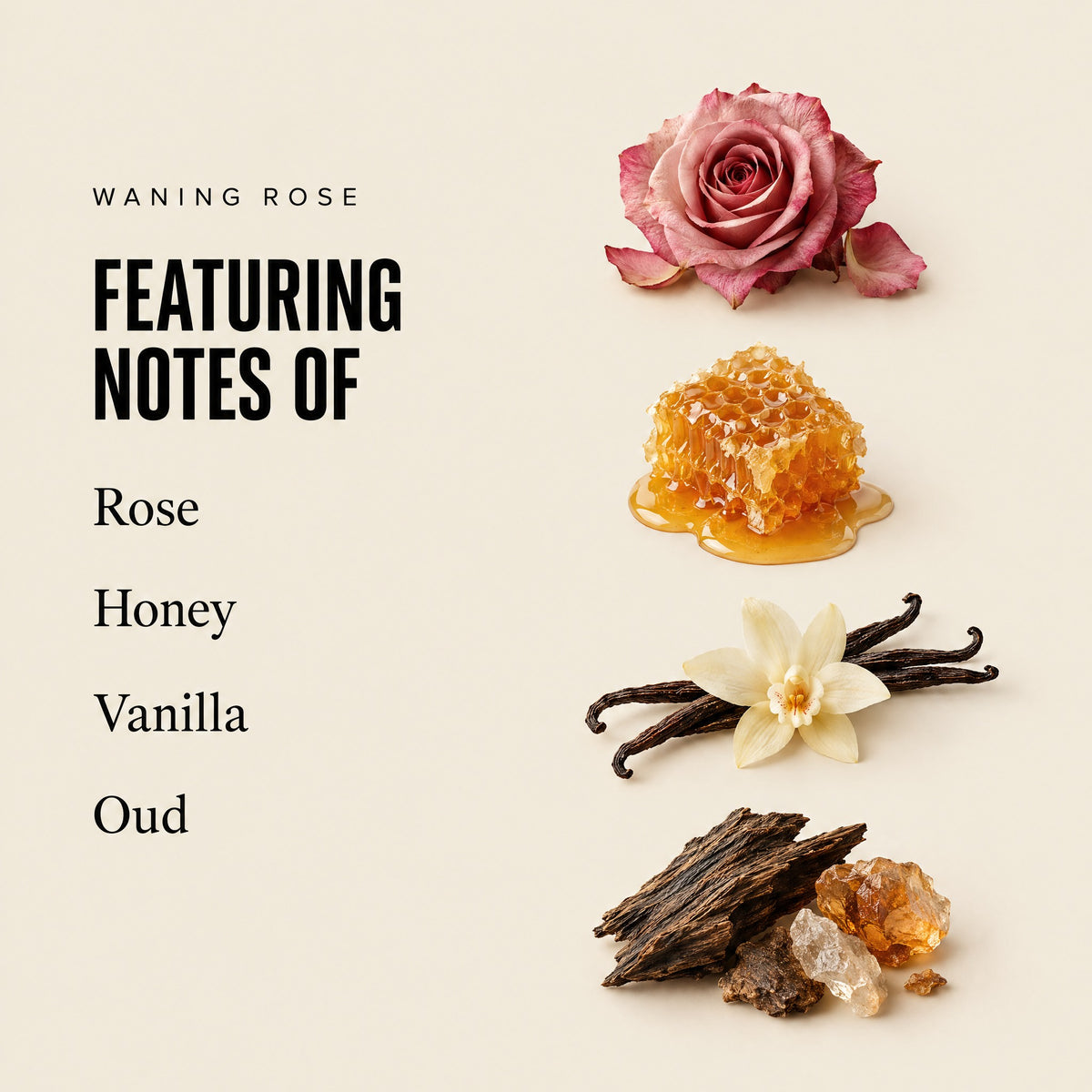 Waning Rose featuring notes
