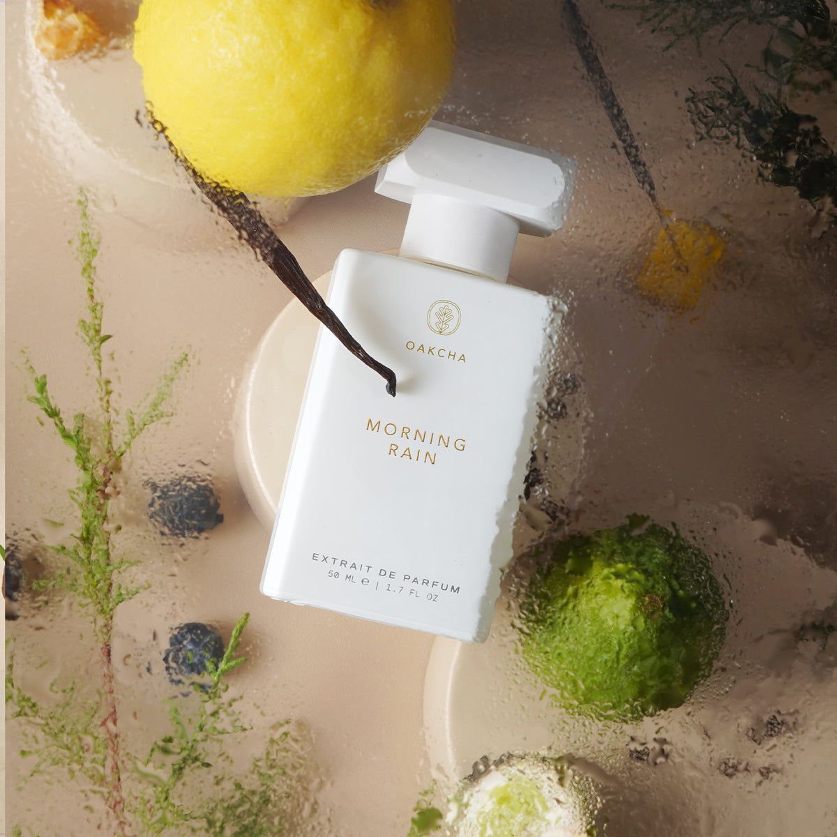 Front view of Morning Rain perfume bottle showing white rectangular bottle with gold logo on wet sand with citrus