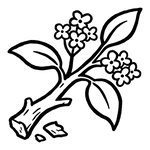  Amyris