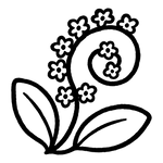  Heliotrope