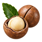Macadamia