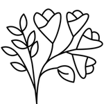  Osmanthus